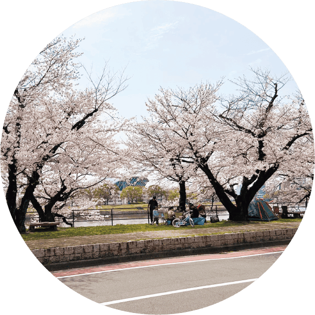 現地前面緑地
