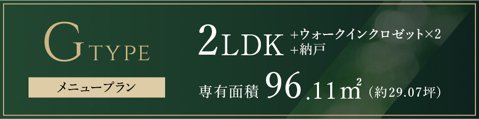 Gタイプメニュープラン