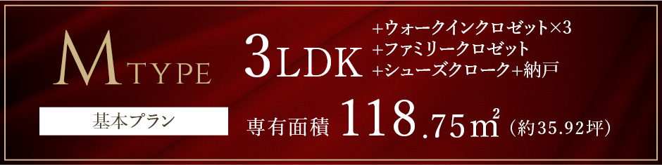 Mタイプ基本プラン