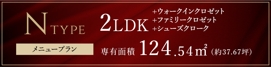 Nタイプメニュープラン
